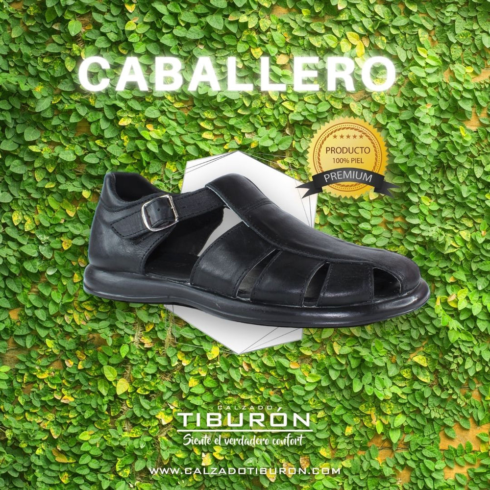 Colecciones CALZADO TIBURON